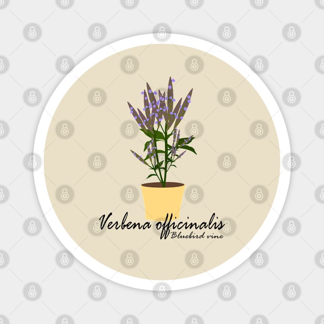 Verbena Magnet by Brunaesmanhott0